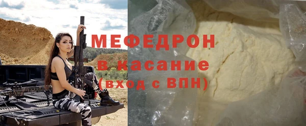 мдпв Бородино