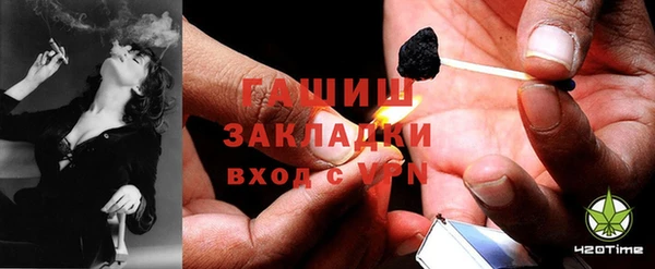 мдпв Бородино