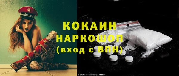 мдпв Бородино