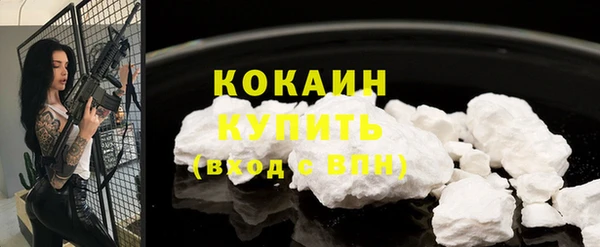 мдпв Бородино