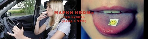 мдпв Бородино