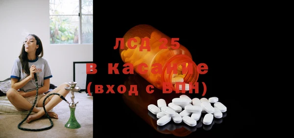 мдпв Бородино