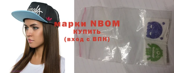 мдпв Бородино