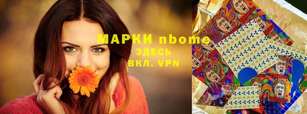 мдпв Бородино
