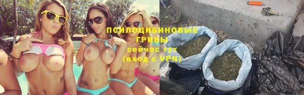 мдпв Бородино