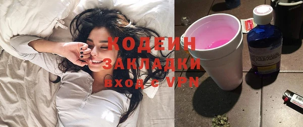 мдпв Бородино